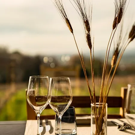 Gospodarstwo agroturystyczne Cincinnato Wine Cori