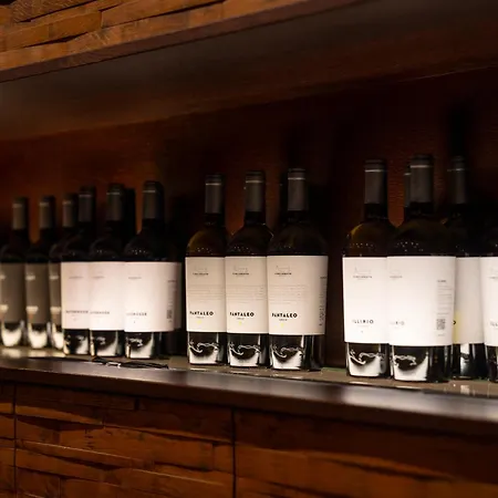 Çiftlik konaklama Cincinnato Wine