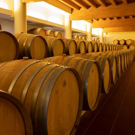 Cincinnato Wine Gospodarstwo agroturystyczne Cori
