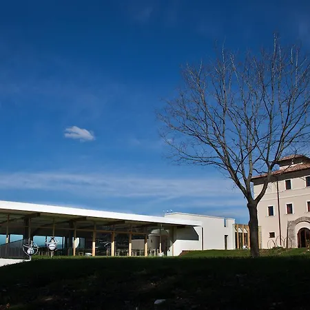 Farm stay Cincinnato Wine Cori