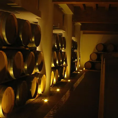 Agroturismo Cincinnato Wine *