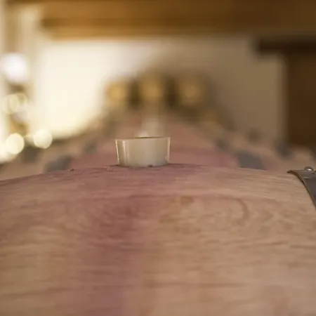 בית חווה Cincinnato Wine *