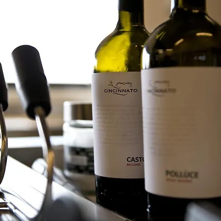 Κατάλυμα σε φάρμα Cincinnato Wine *