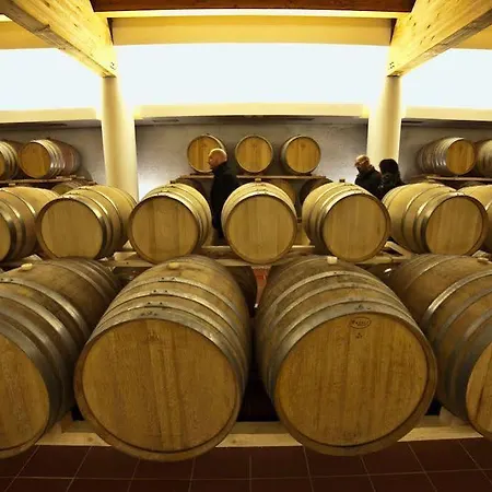 Κατάλυμα σε φάρμα Cincinnato Wine *